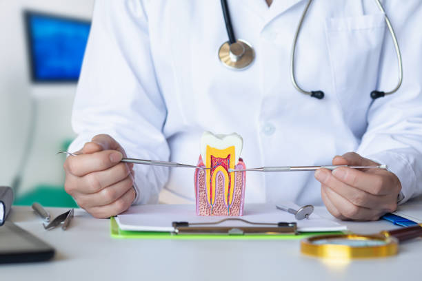 Best Emergency Tooth Extraction  in Sanford, NC